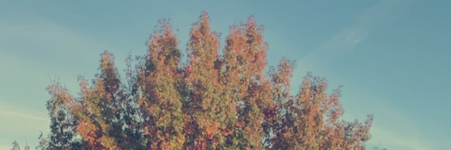_keenz's profile banner image
