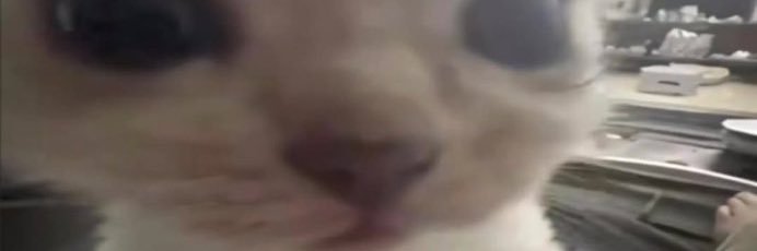 hijabi findom ִֶָ☾. banner