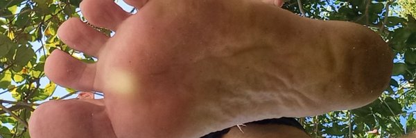 ToqueEscorpiano Profile Banner