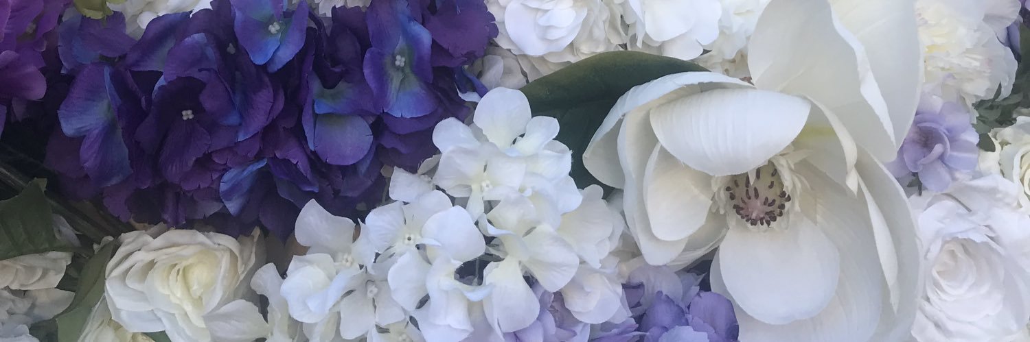AmandaERighetti's profile banner image