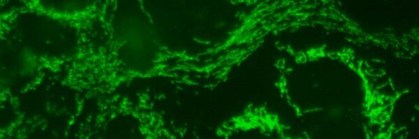 mcramosmartin75 Profile Banner