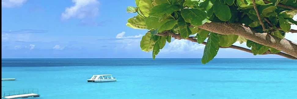 3104626's profile banner image