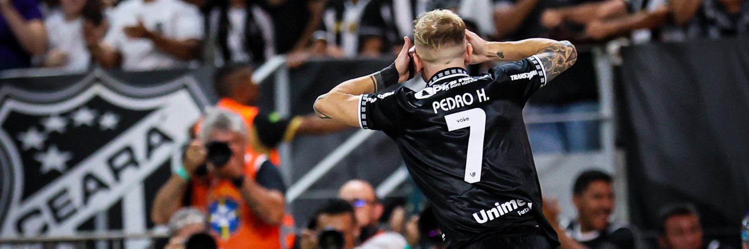 Pedro Henrique banner