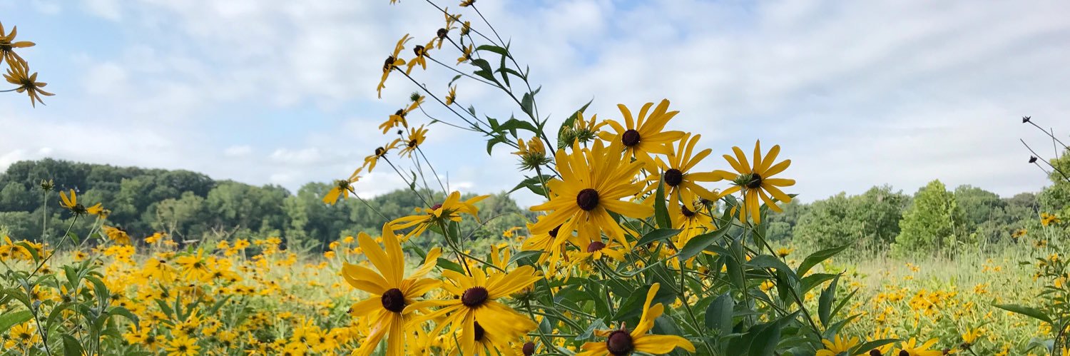 Dr. Suman Mishra banner