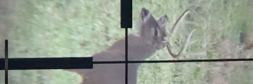 Gerald Ulysses Mercer banner