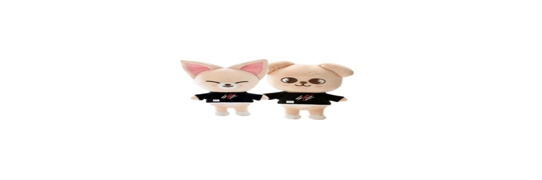 things that could be seungin banner