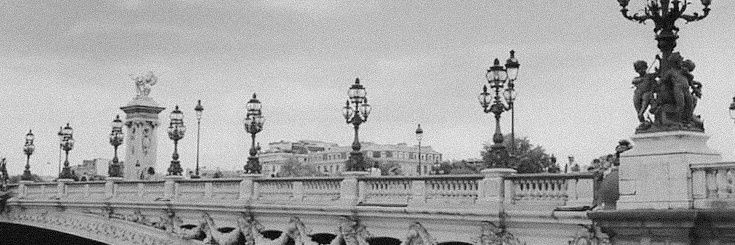 𝐌𝑨𝐑𝐈𝐒𝐒𝑨 𝐆𝑨𝐒𝐍𝐈𝐄𝑹. banner