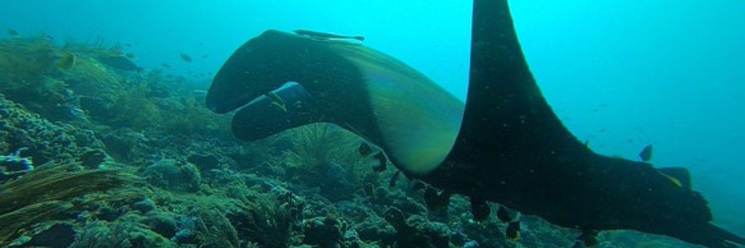 Katrine Bosley (ksbosley) / Twitter