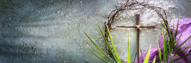 Lisa • 🦬 • 📚 banner