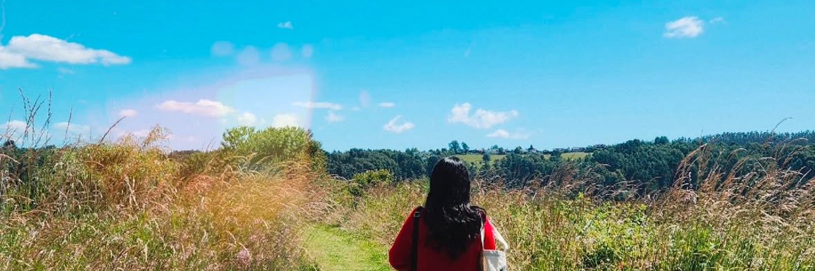 JanisFuentesV's profile banner image