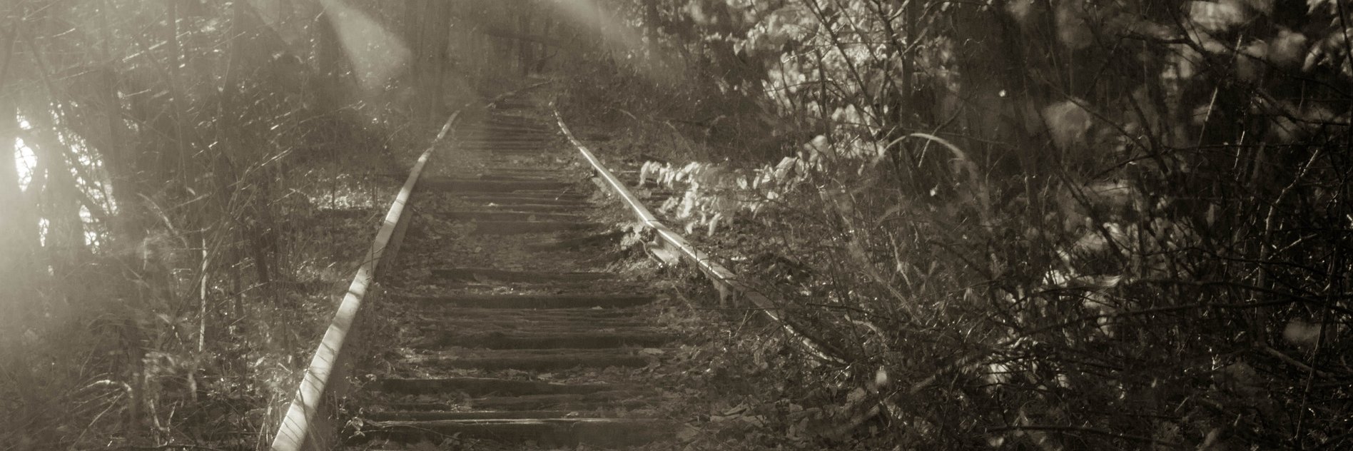 SwatHistory's profile banner image