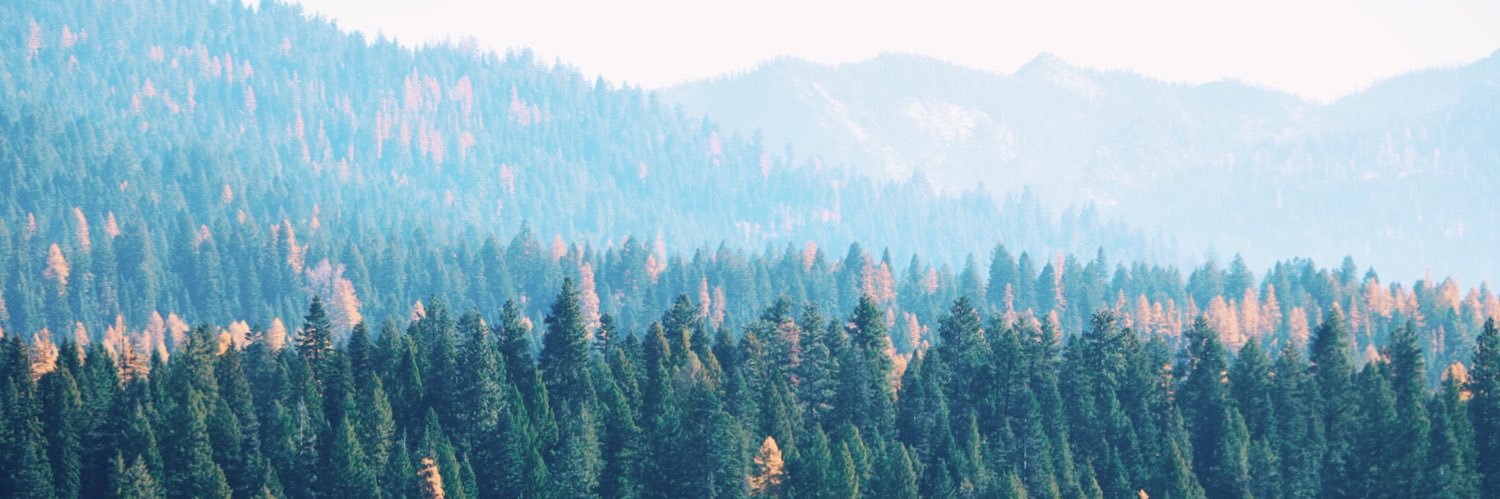 katalynn's profile banner image