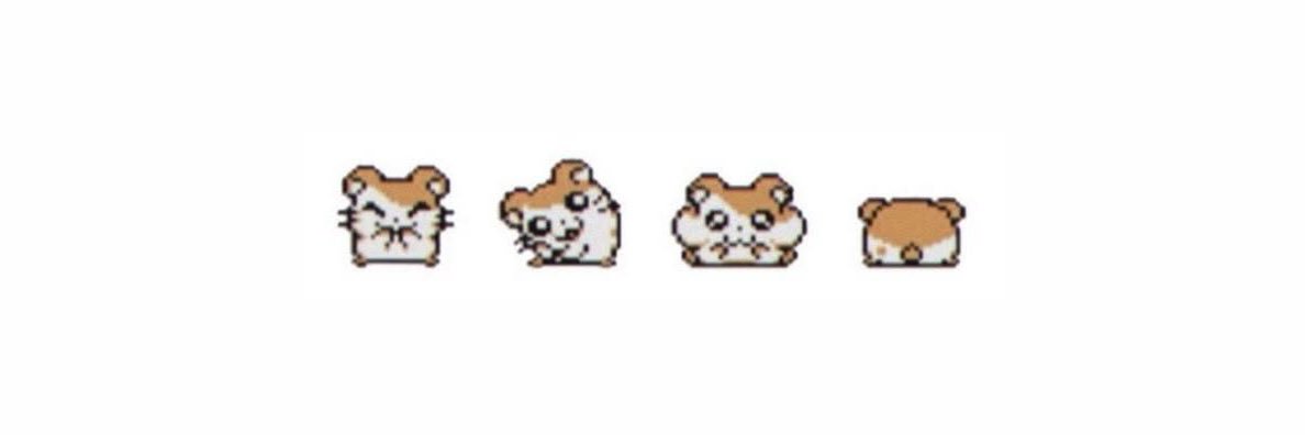 🐰🎀 banner