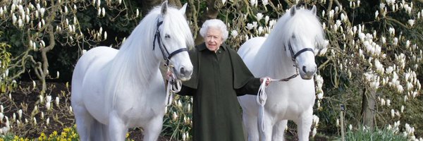 ProyerHila95004 Profile Banner