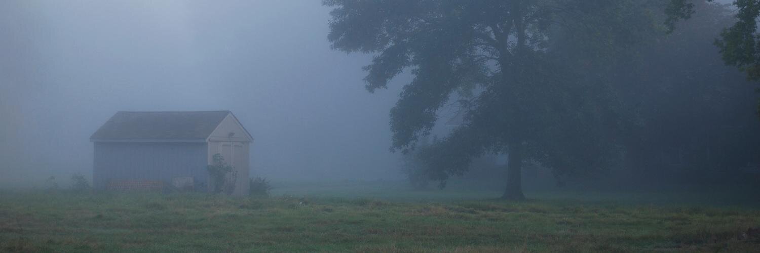 TvsZPatientZero's profile banner image
