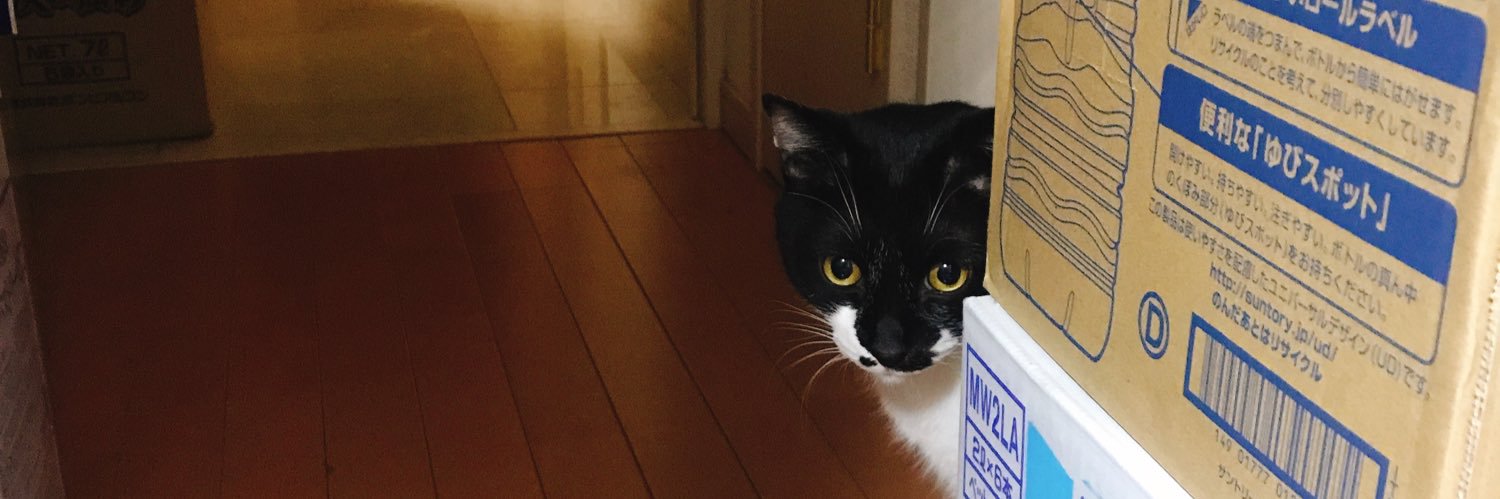 Voi_cat's profile banner image