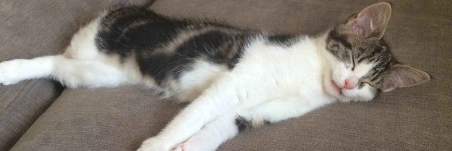 rachaelOM's profile banner image