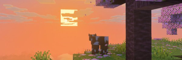 nirnroot0 Profile Banner