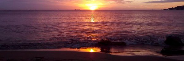 monicabs121 Profile Banner