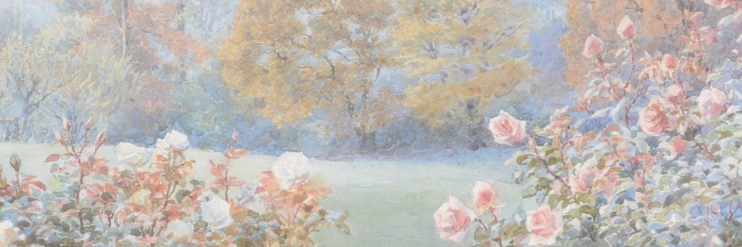 lily banner