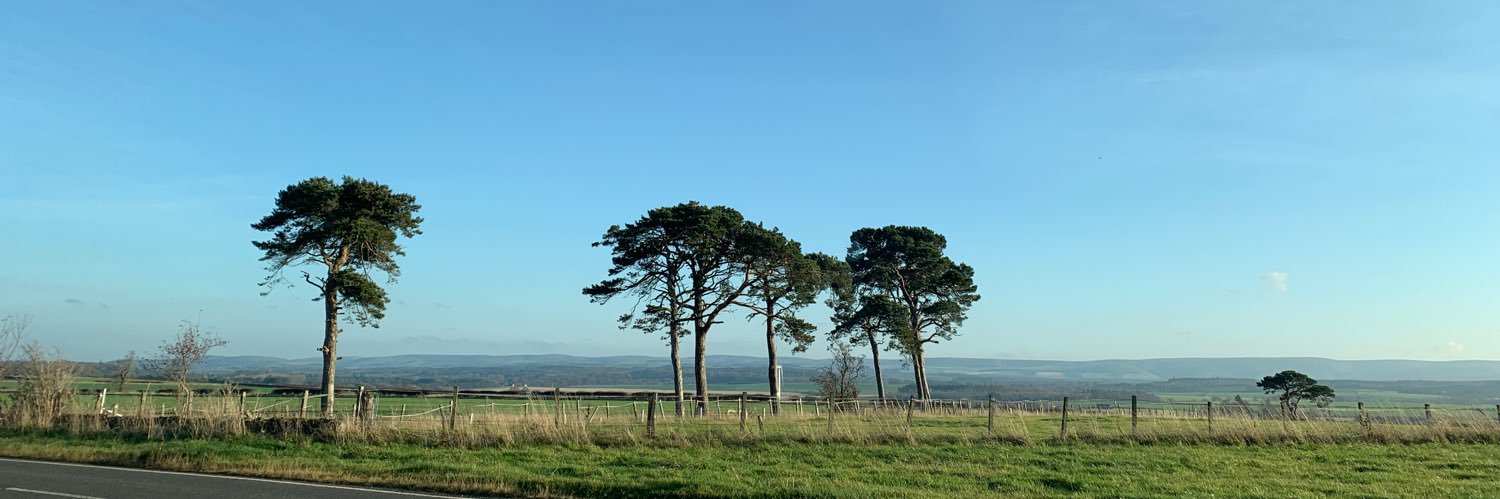 Derek Bateman banner