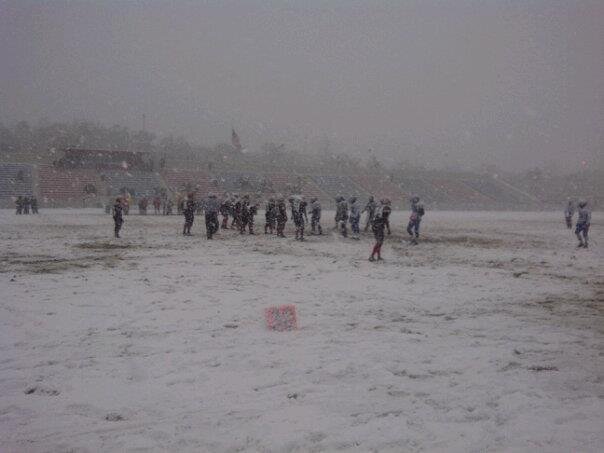 matt demarest banner