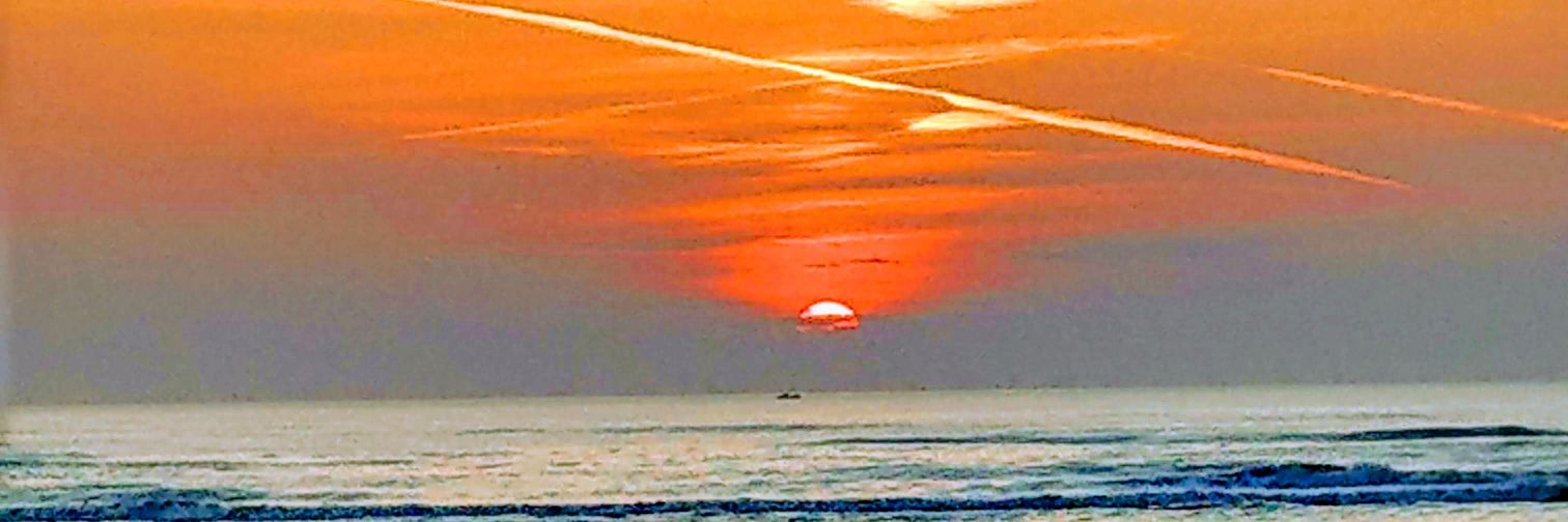 Selma van Dijk banner