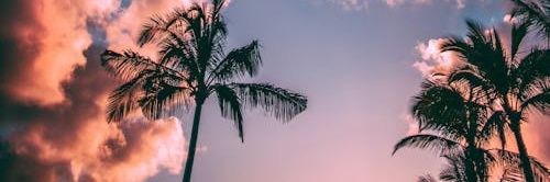 MaritoGood's profile banner image