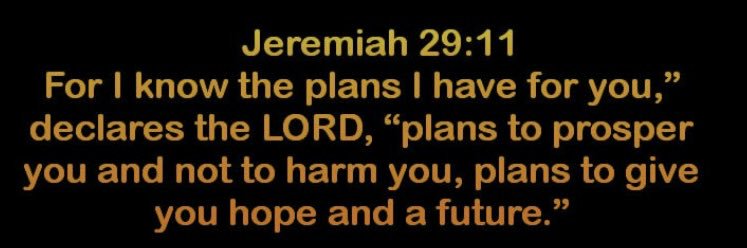 🐾MAGIC🐾 banner