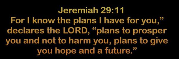 Mik91102 Profile Banner