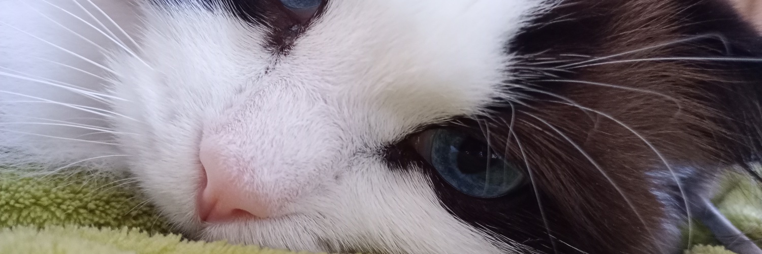 Bettyb - Socialist 🍉 banner