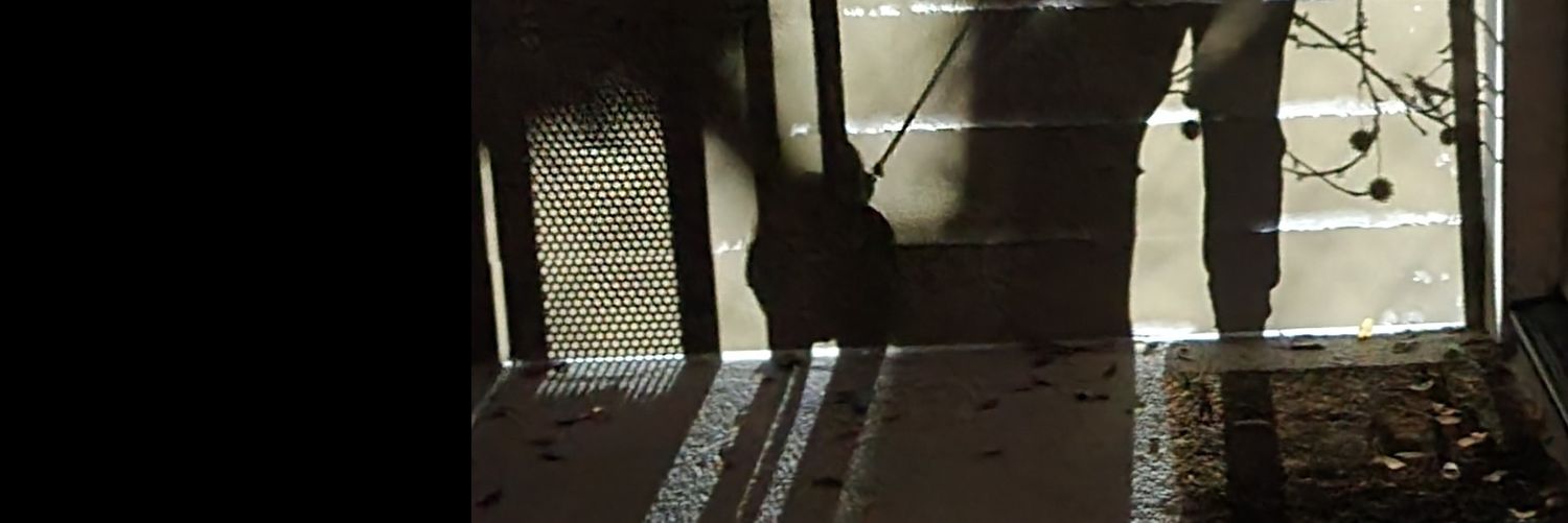 cbaconus's profile banner image