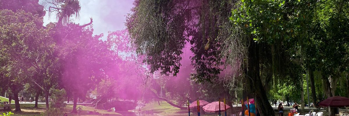 _bibsandrade's profile banner image