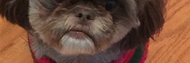 Tia98411's profile banner image