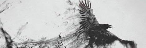 naotaro91's profile banner image