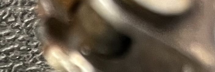 rambowatchman's profile banner image