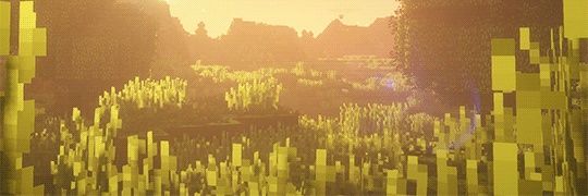 ⚔ _RODO_ ⚔ banner