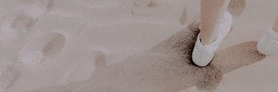 𝑯arper 𝑾hite. banner