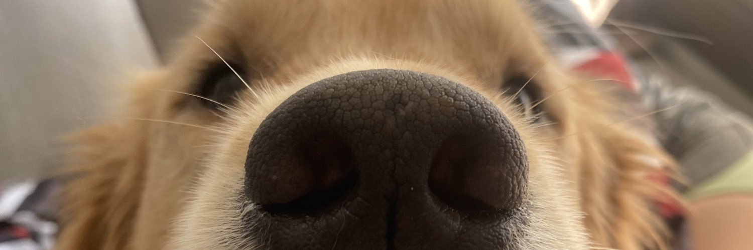ilezamot's profile banner image