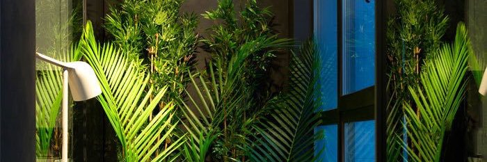 casey_michelle's profile banner image