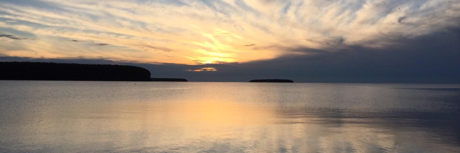 Cindy Vandermause banner