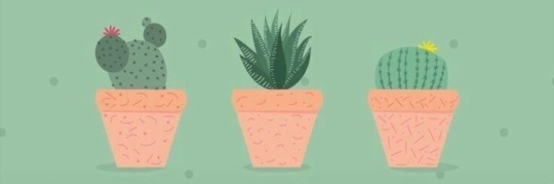 Isah ☀️🧨 banner