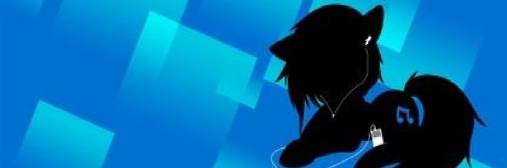 zel's banner