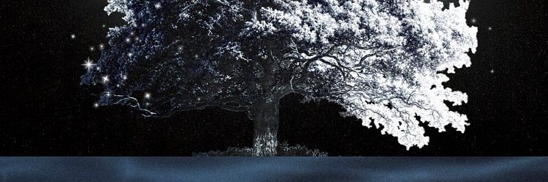 AvisCar_Rep_'s profile banner image