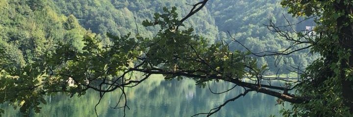 Fatima_2_79's profile banner image