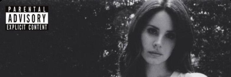 dylan banner