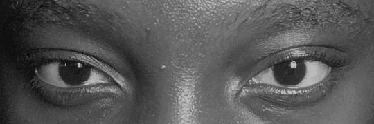 Meow 😽💕 banner