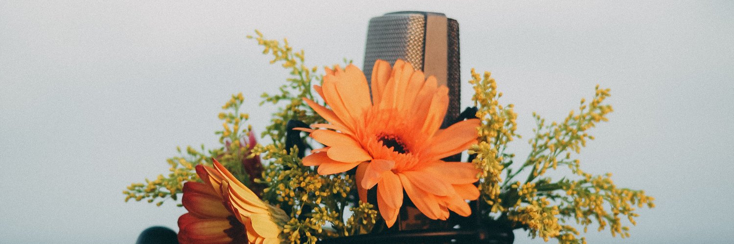 MayaniSwave's profile banner image