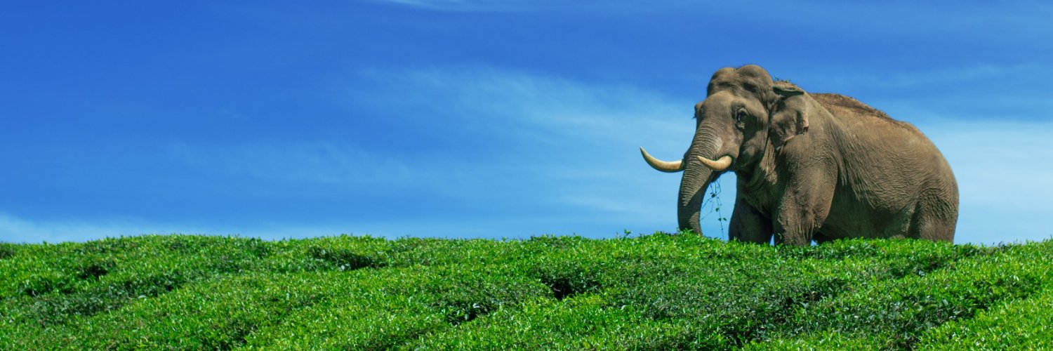 Kerala Forest Department banner