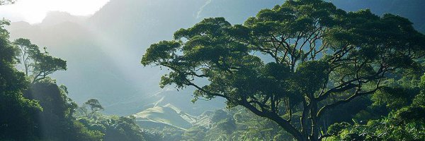 Techboy150 Profile Banner
